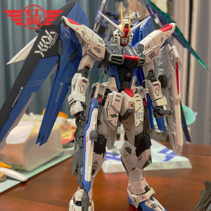 现货顺丰包邮大班6650自由2.0 mg 1/100强袭 送支架水贴拼装模型