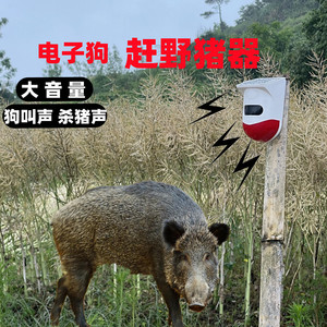 定时驱兽器感应吓野猪神器太阳能报警器大音量狗叫声杀猪声玉米地