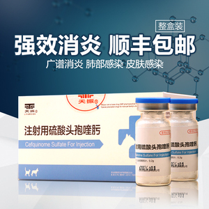 第四代硫酸头孢喹肟注射液大型犬消炎药 宠物狗狗真菌螨虫皮肤病