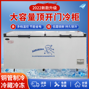 伊莱克斯冰柜商用大容量冷冻冷藏速冻节能冰箱单温双温大肉柜铜管