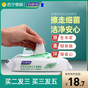 【妇炎洁199】湿厕纸洁阴私处房事清洁卫生湿巾女性擦屁股湿纸巾