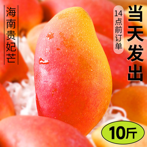 海南贵妃芒芒果新鲜当季水果树上熟10时令斤整箱包邮大青辣椒芒果