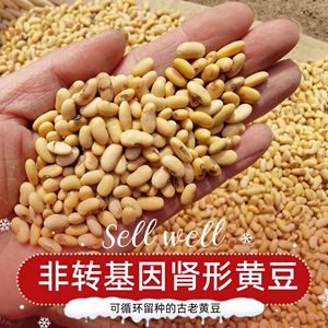 黄豆 农家自种5斤小黄豆发豆芽专用豆豆浆肾形老品种非转基因黄豆