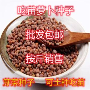 吃苗萝卜种子包邮按斤卖芽苗菜白萝卜种籽莱菔子阳台庭院四季种植