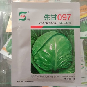 江蔬先甘097甘蓝种子紫甘蓝种籽夏季耐热甘蓝包菜种籽包心菜种子