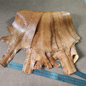 南非金棕色鸵鸟腿皮特殊皮料 手工diy钱包表带短夹包杆鞋子真皮料