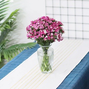 相思梅鲜花全国包邮云南基地直发瓶插花秒杀特惠水养家居婚庆七夕