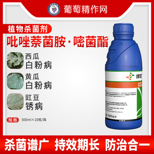 先正达绿妃吡唑萘菌胺嘧菌酯黄瓜白粉病豇豆锈病农药杀菌剂 100ml