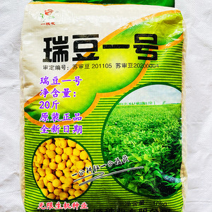 瑞豆一号黑脐黄豆种子高产非转基因大豆种籽春夏季大田种农家籽种