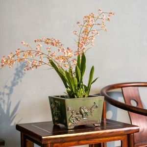 石湾花盆陶一峰