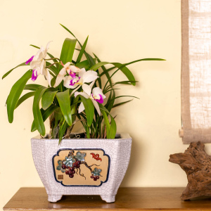 石湾花盆陶一峰