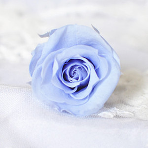 蓝色玫瑰永生花