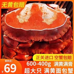 面包蟹即食海鲜特大黄金蟹鲜活螃蟹熟冻梭子蟹珍宝蟹超大海蟹新鲜