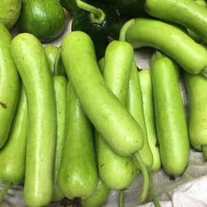 新鲜瓠子瓜安徽六安霍山农家自种户子 现摘嫩葫芦瓜时令新鲜蔬菜