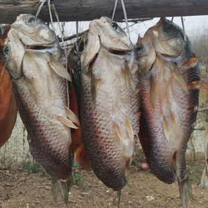 咸草鱼腊鱼六安霍山农家自制腌鱼咸鱼块晾晒风干大别山淡水鱼500g