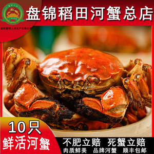 盘锦河蟹六月黄 大闸蟹1.9-1.5全公蟹稻田螃蟹 顺丰包邮10只现货