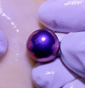 开蚌直播淡水紫色爱迪生珍珠自己开海水黑珍珠特大河蚌鲜活裸珠