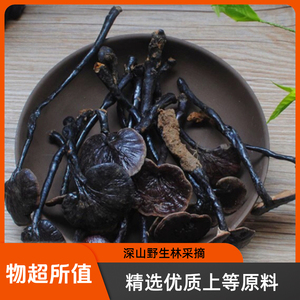 正宗云南野生小叶竹灵芝精选无硫菌香浓微苦滋补养生散装煲汤泡酒