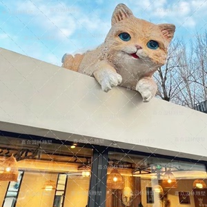 屋顶上的猫头像图片