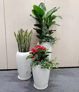 绿植租摆上门养护办公室庭院植物租赁绿化花卉盆栽设计写字楼租花