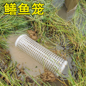 黄鳝笼塑料专用捕鳝鱼泥鳅笼子一字鳝鱼笼倒须捉鳝鱼神器鳝鱼笼子