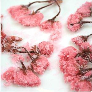 盐渍樱花叶-淘宝拼多多热销盐渍樱花叶货源拿货 - 阿里巴巴货源