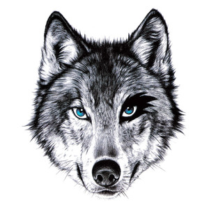 一狼头玫瑰胸前纹身贴防水持久男女逼真花臂胸部黑白狼图腾kylylyj