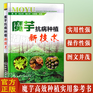 魔芋抗病种植新技术 高产魔芋种植技术书籍 鬼芋去肠砂磨芋高效栽培魔芋种植书籍大全 魔芋生长习性魔芋病虫害防治 化学工业出版社