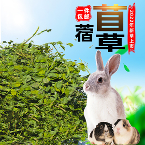 苜蓿草2022年新草 兔子龙猫牧草兔粮豚鼠饲料干草毛重1000克