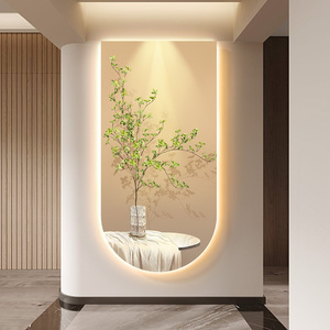 北欧入户玄关装饰画壁灯光影绿植玄幻客厅背景墙挂画走廊过道壁画