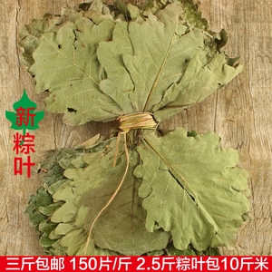 2022年新粽子叶山东干野生菠萝叶柞树槲叶大粽叶端午节诸城500g