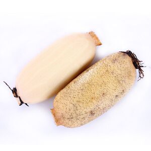 新鲜莲藕苏北农家洪泽湖脆藕嫩藕泥巴藕野生藕现挖5斤包邮