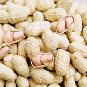 带壳干花生原味晒干花生带皮5斤南召皇路店花生坚果零食土特产