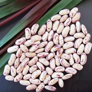 东北饭豆大白花芸豆新鲜杂粮饭豆子奶白花豆白腰豆农家饭豆白芸豆