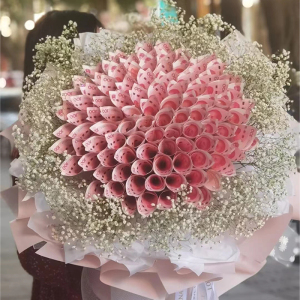 有钱花现金花束 妇女节女王节钞票满天星制作材料包送妈妈女神