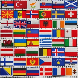 欧洲50个国家旗帜士气章刺绣魔术贴徽章国旗臂章战术背包布贴胸章