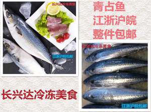 鲅鱼冷冻20斤