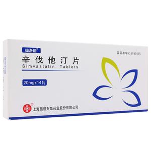 辛伐他汀片20