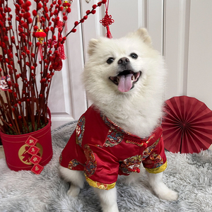 狗狗衣服唐装新年过年喜庆泰迪法斗柯基比熊中小狗秋冬加厚棉衣