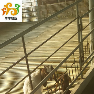 羊床漏粪板羊床配件羊床养殖设备养羊用竹羊床羊舍羊床竹鸡鸭设备