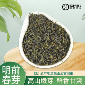 明前春芽2021年四川绿茶宜宾屏山高山茶叶500克散装特级清香味足
