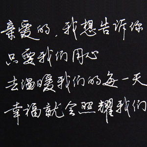 成人行书字帖 张神农手写连笔字草书行草硬笔临摹钢笔速成练字帖
