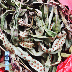 黄瓦韦中药材金鸡尾瓦韦大瓦韦大石韦石茶七星剑晒干黄瓦韦250g