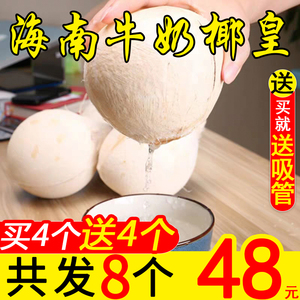 海南文昌牛奶椰皇小椰子椰白8个整箱新鲜热带孕妇去皮椰青包邮