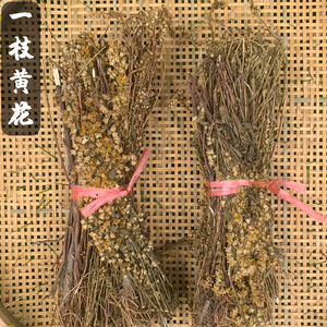 一枝黄花中药材野生一支黄花老虎尿500克一斤晒干包邮药人采摘