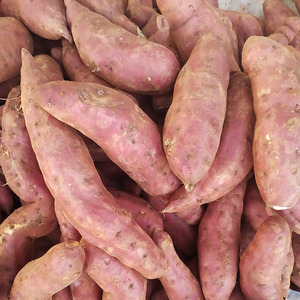 贵州农家新鲜现挖番薯老品种红皮红心番苕烤地瓜红薯现挖现发包邮5人