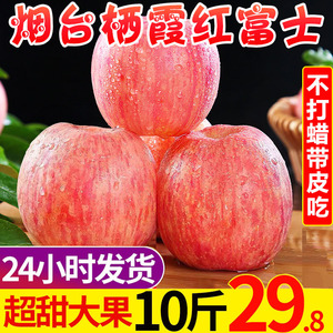 正宗山东烟台栖霞红富士苹果当季新鲜水果脆甜整箱10斤现摘现发