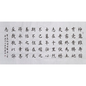 曹操龟虽寿书法作品手写楷书真迹神龟虽寿犹有竟时书法客厅字画