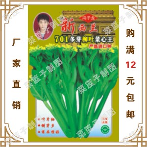 柳叶菜心图片