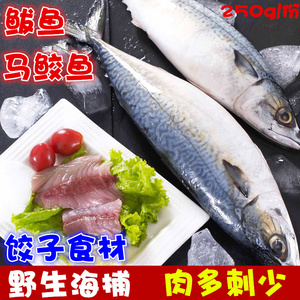 新鲜海鲜鲅鱼马鲛鱼野生鲜活速冻海鱼冷冻鲅鱼饺子食材水产250克